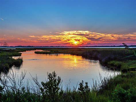 Assateague 1